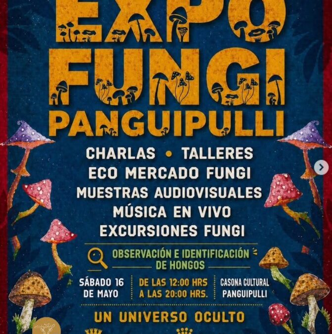 ¡El bosque cobra vida! Ven a disfrutar este sábado de la segunda edición «Expo Fungi Panguipulli 2026»