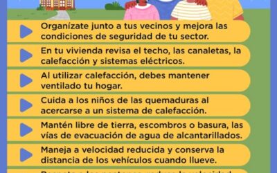 Prepárate para el invierno en Panguipulli: conoce estas medidas clave para prevenir riesgos