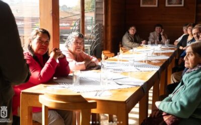 Programa Vínculos impulsa taller de autocuidado para personas mayores en Panguipulli