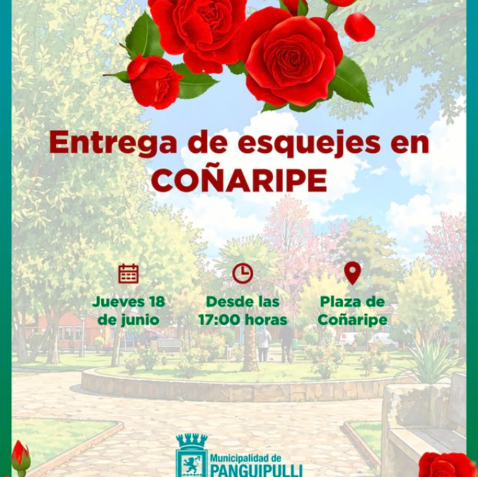 Municipalidad invita a gran entrega gratuita de esquejes de rosas en Coñaripe