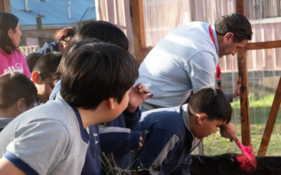 Educación ambiental y entrega de esquejes marcaron exitosa actividad en Liquiñe