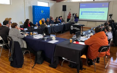 Histórico avance para sectores rurales: aprueban financiamiento por más de $4.078 millones para 9 proyectos de electrificación rural en Panguipulli