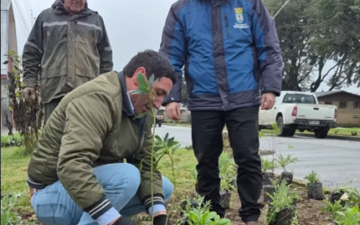 Municipalidad impulsa plan de hermoseamiento para transformar la imagen de Melefquén