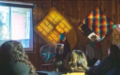 Cine foro abierto a la comunidad con la exhibición de la película «La misteriosa mirada del flamenco.»