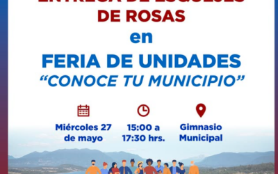 Municipalidad realizará entrega gratuita de esquejes de rosas en Feria de Unidades “Conoce tu Municipio”