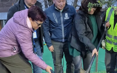 Barrio Siete Lagos inicia histórica transformación con nuevas plazas, paraderos y cruces seguros