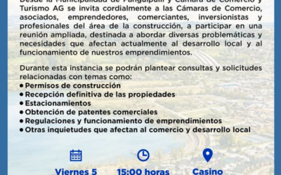 Municipalidad y Cámara de Comercio invitan a comerciantes, emprendedores y profesionales a reunión ampliada por desarrollo local en Panguipulli