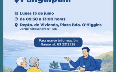 Bienes Nacionales realizará atención en terreno el próximo 15 de junio en Panguipulli