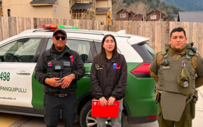 Municipio y Carabineros realizan fiscalizaciones por tenencia responsable de mascotas en Neltume