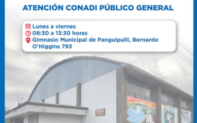 CONADI retoma la atención de público en Panguipulli gracias al apoyo de la Municipalidad