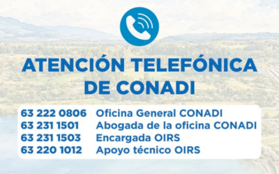 Estos son los teléfonos habilitados por CONADI para realizar consultas y trámites