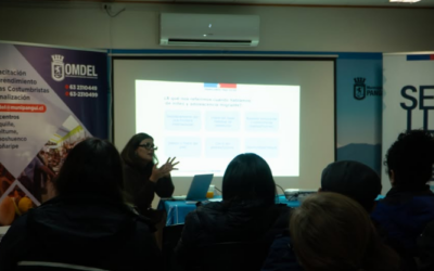 Funcionarios públicos participaron en capacitación sobre migración y niñez migrante en Panguipulli