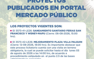 SECPLAN informa nuevas licitaciones para obras en Panguipulli.