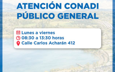 CONADI ya está atendiendo presencialmente en Panguipulli