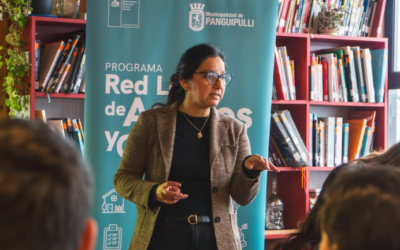 Programa Red Local de Apoyos y Cuidados (PRLAC) fortalece el trabajo colaborativo en Panguipulli