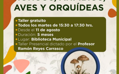 Taller «Naturaleza de Chile: Hongos, Anfibios, Aves y Orquídeas»