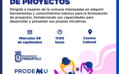 Municipalidad de Panguipulli y PRODEMU invitan a mujeres a capacitación sobre formulación de proyectos