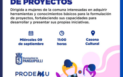 Municipalidad de Panguipulli y PRODEMU invitan a mujeres a capacitación sobre formulación de proyectos