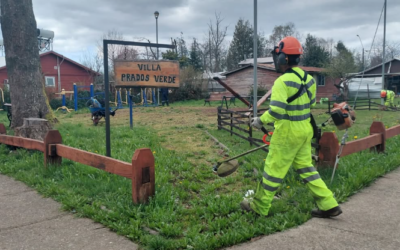 Municipalidad de Panguipulli realiza operativo de limpieza en Huellahue