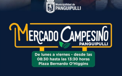 Mercado Campesino: productos locales directo de nuestras productoras