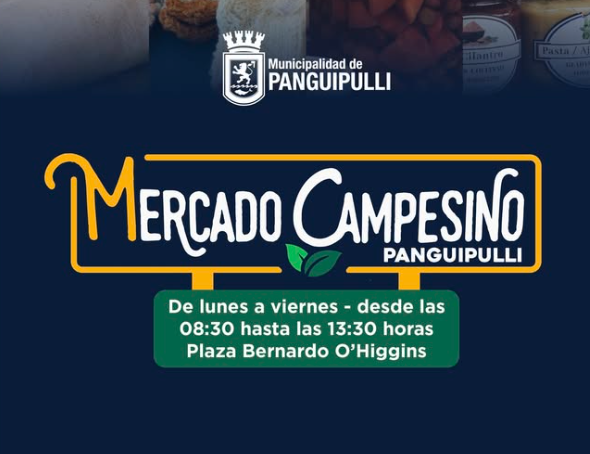 Mercado Campesino: productos locales directo de nuestras productoras